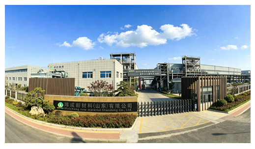 玮成新材料(山东)有限公司